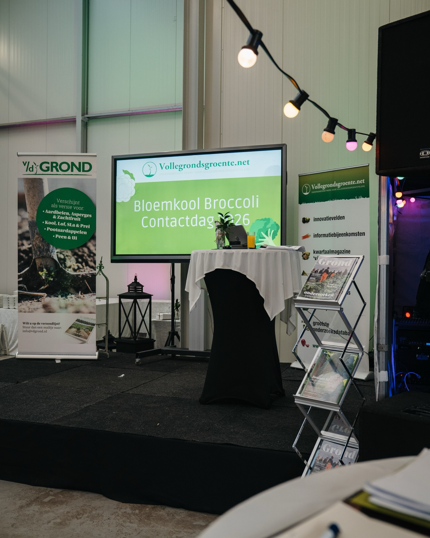 Bloemkool - Broccoli contactdag 2026